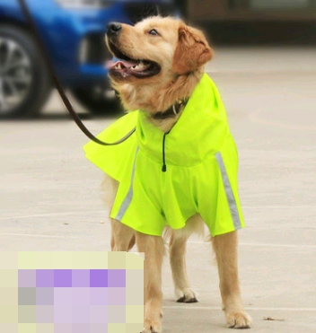 Spring summer new dog raincoat waterproof cape dog