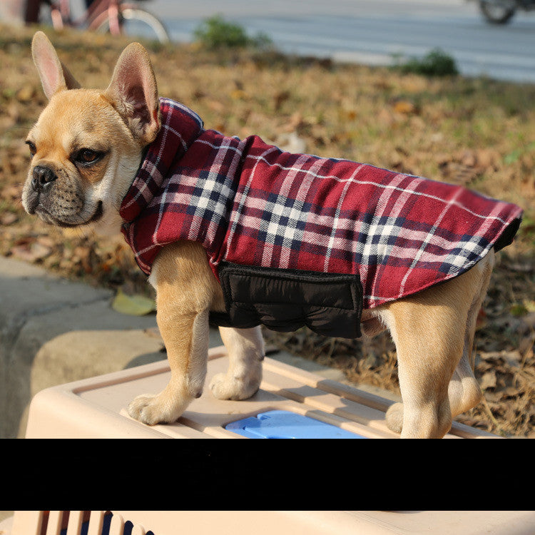 Pet Clothes Medium Dog Cotton Vest - lifestyle view - PET'S FUN | dog entertainment