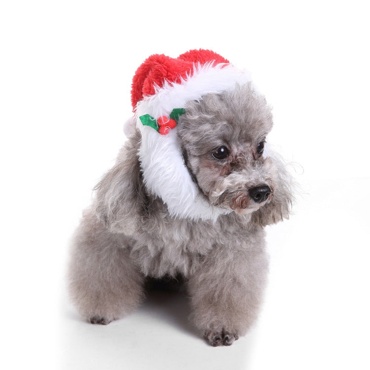 Pet christmas hat bib - lifestyle view - PET'S FUN | pet bed