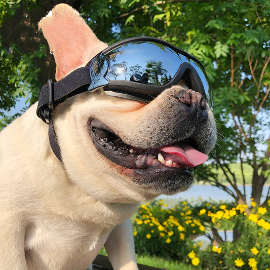 Pet Sunglasses Dog Windproof Glasses Accessories - side view - PET'S FUN | dog supplies