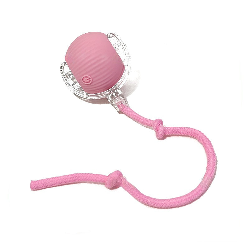 Cat Interactive Ball Toys Automatic Rolling Ball for - lifestyle view - PET'S FUN | cat bed
