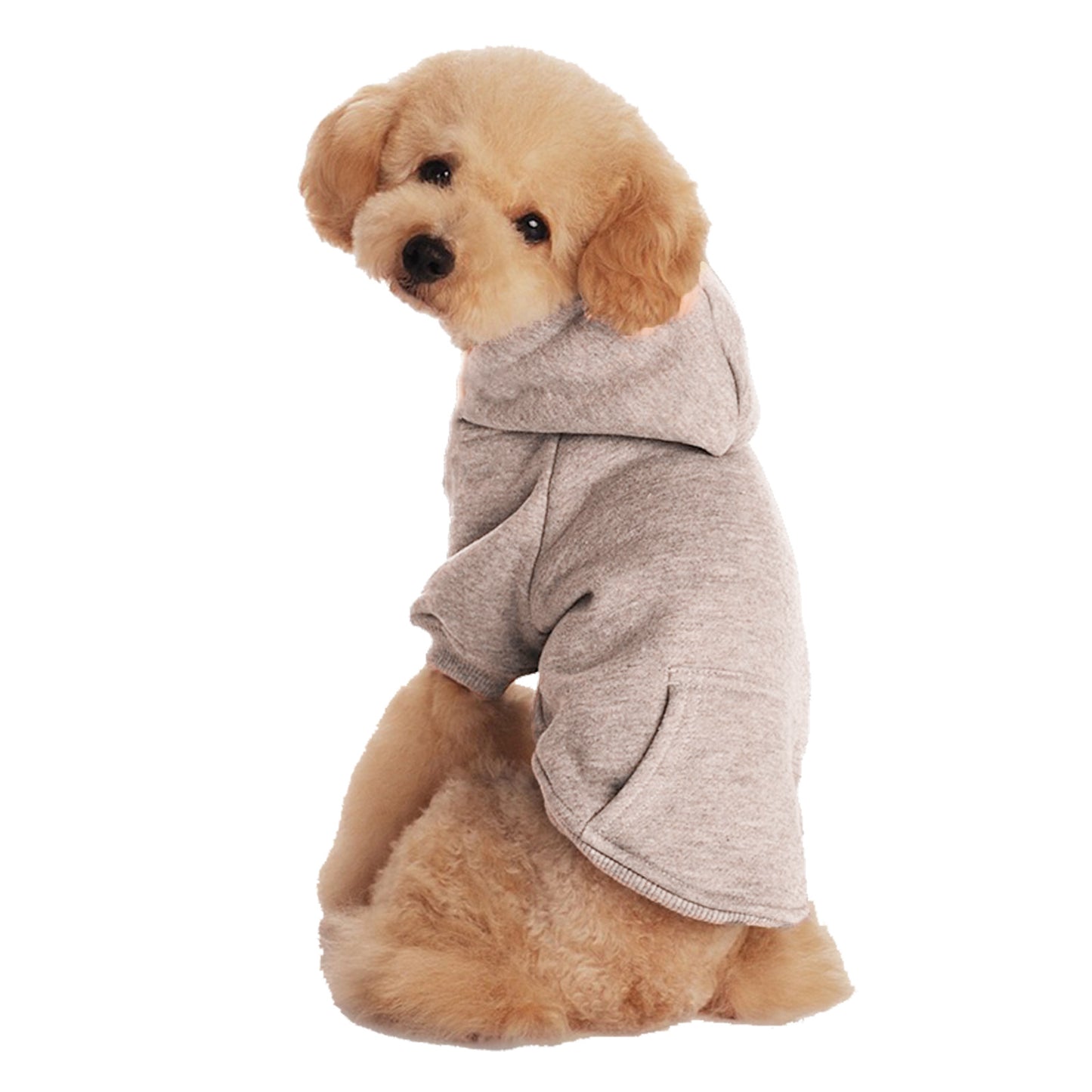 Small and Medium Sized Dogs Wearing Caps and - front view - PET'S FUN | dog accessories