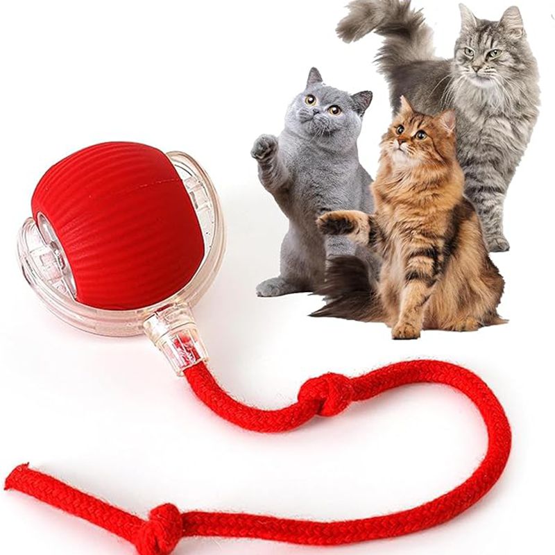 Cat Interactive Ball Toys Automatic Rolling Ball for - lifestyle view - PET'S FUN | cat bed