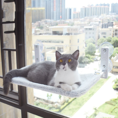 Cat Suction Cup Window Glass Hammock Pet Cat Pets - lifestyle view - PET'S FUN | cat entertainment