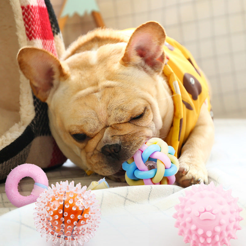 Non-toxic Pet Dog Puppy Training Toy Chew Rubber Toys - side view - PET'S FUN | interactive dog toy