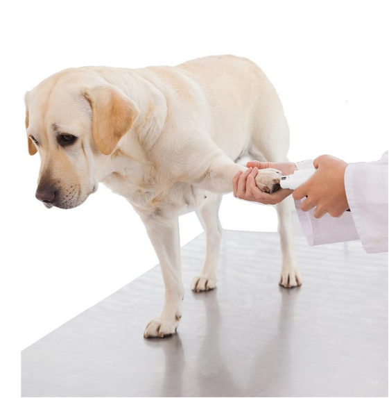 UEETEK Electric Pet Nail Grinder with Rechargeable Lithium