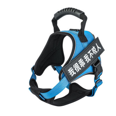 Pet Harness Adjustable Walking Vest for Dogs Cats