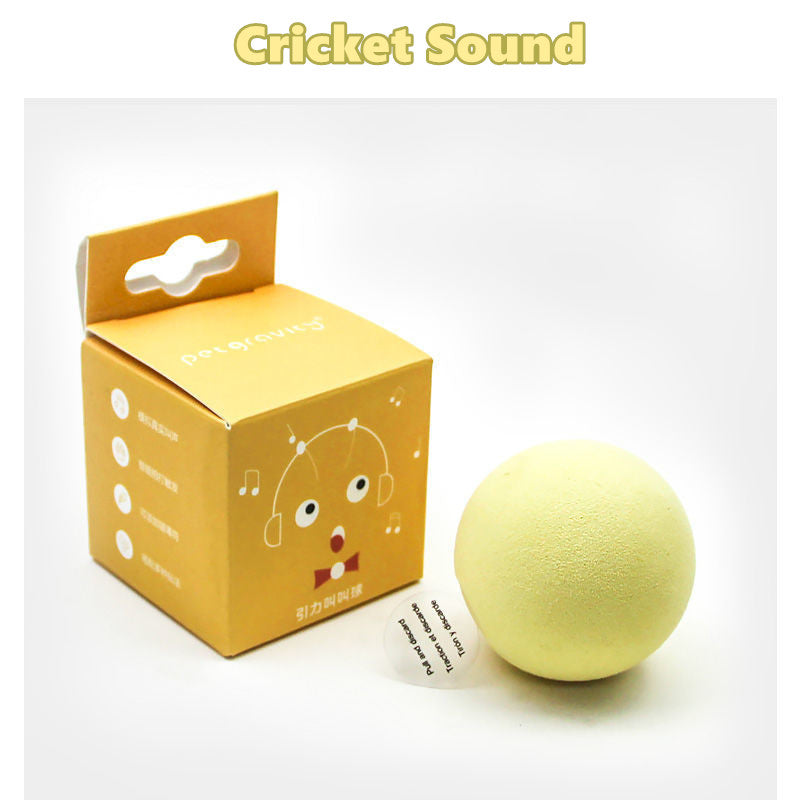 Gravity Called the Ball Mint Kitten Self-hey - angle view - PET'S FUN | cat toy