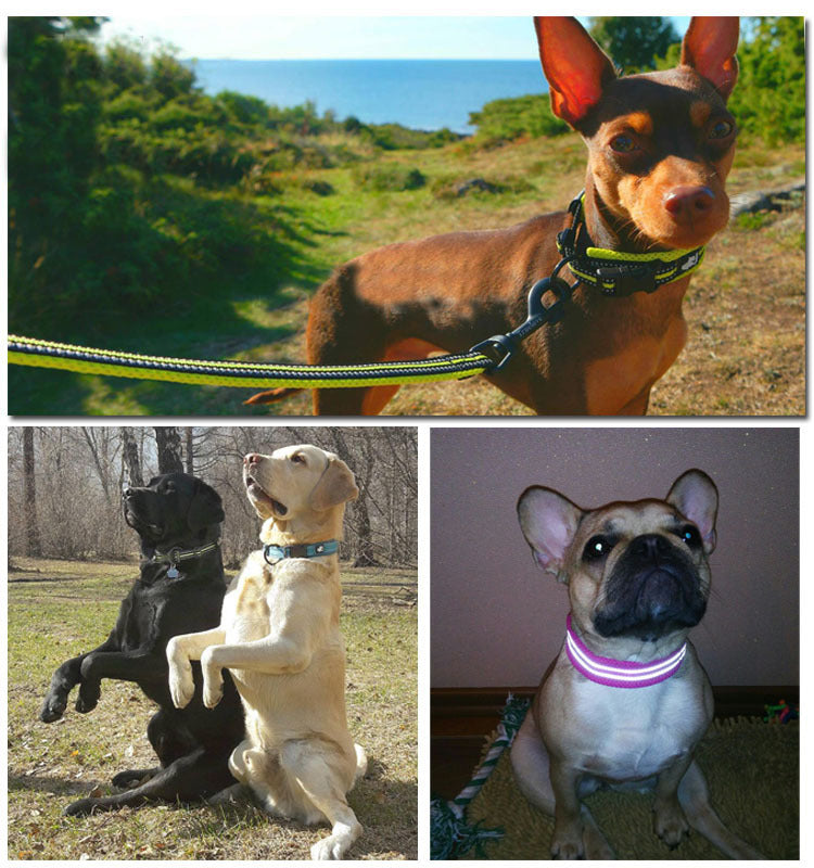 Pet Reflective Nylon Sandwich Breathable - angle view - PET'S FUN | pet accessories