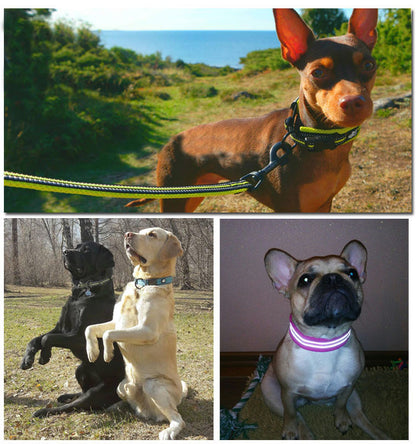 Pet Reflective Nylon Sandwich Breathable - angle view - PET'S FUN | pet accessories