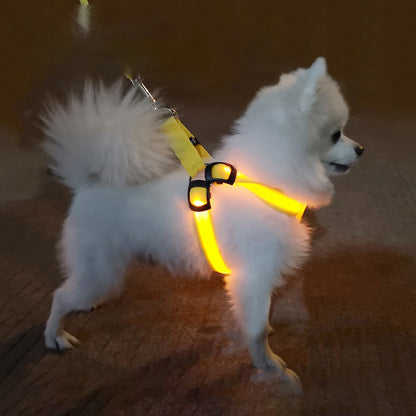 Dog Leashing Vest with Led Illuminated Chest - back view - PET'S FUN | interactive dog toy