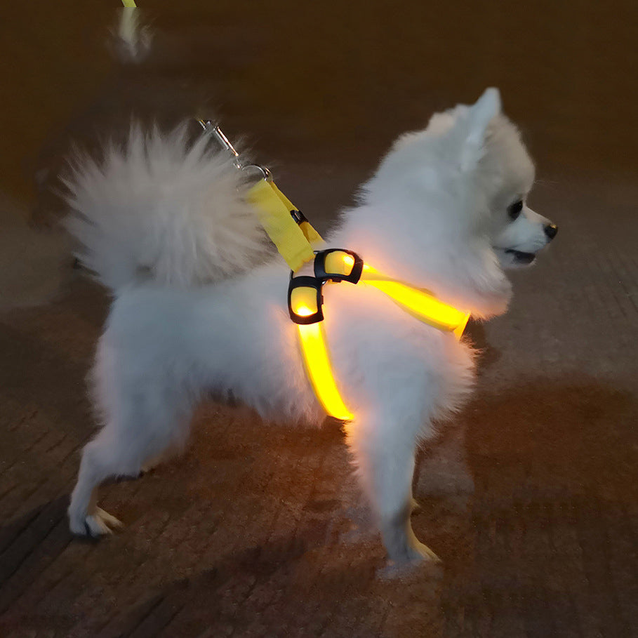 Dog Leashing Vest with Led Illuminated Chest - front view - PET'S FUN | dog accessories