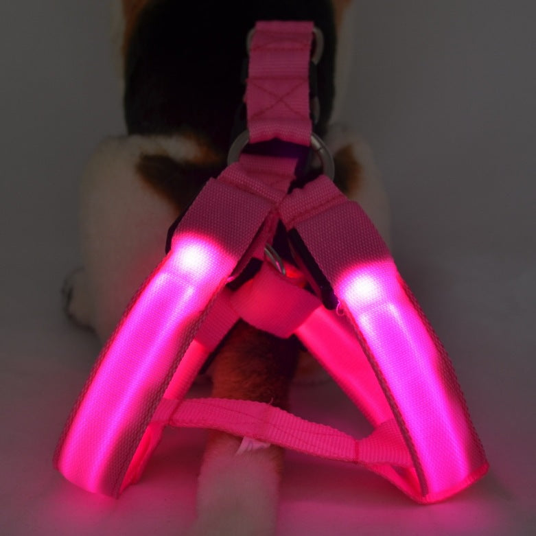 Dog Leashing Vest with Led Illuminated Chest - angle view - PET'S FUN | dog entertainment