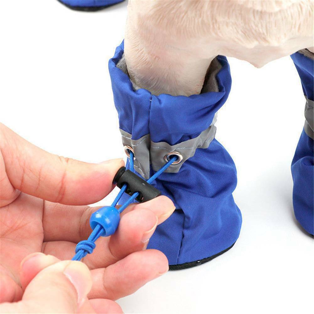 Pet Dog Shoes and Socks Four Seasons - front view - PET'S FUN | dog toy