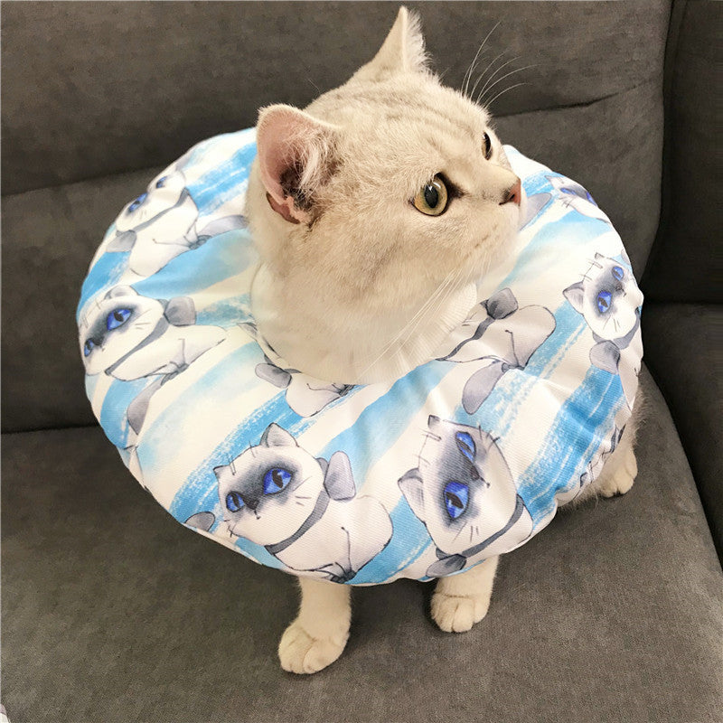 Anti-scratch Headgear - detail view - PET'S FUN | cat entertainment