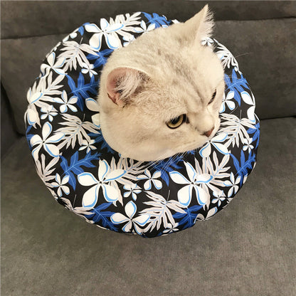 Anti-scratch Headgear - front view - PET'S FUN | cat play