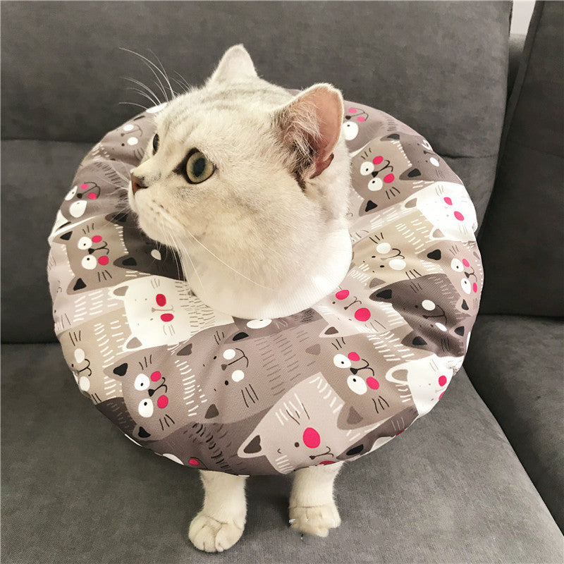 Anti-scratch Headgear - detail view - PET'S FUN | cat supplies