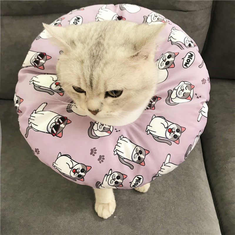Anti-scratch Headgear - side view - PET'S FUN | cat play