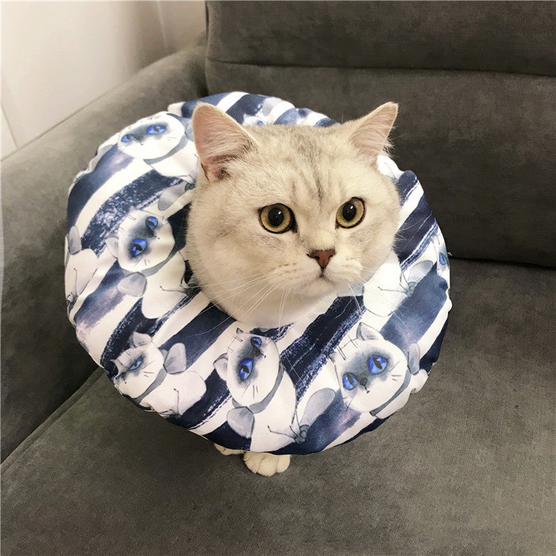Anti-scratch Headgear - back view - PET'S FUN | interactive cat toy
