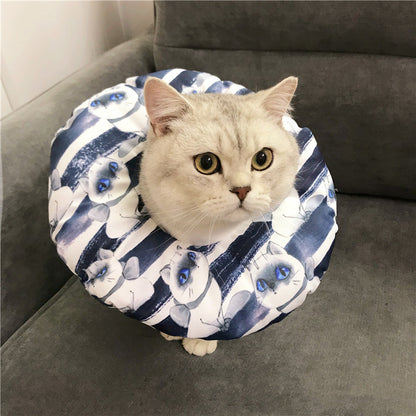 Anti-scratch Headgear - back view - PET'S FUN | interactive cat toy