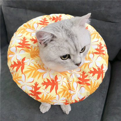 Anti-scratch Headgear - side view - PET'S FUN | cat toy