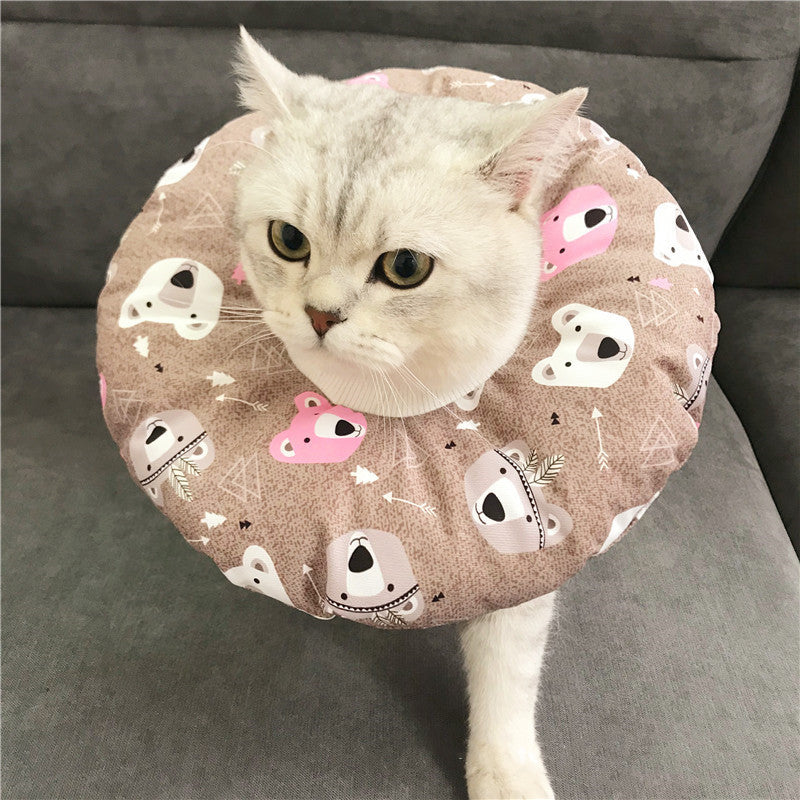 Anti-scratch Headgear - angle view - PET'S FUN | cat entertainment