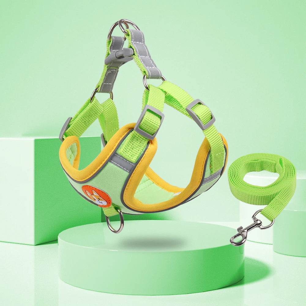 New Dog Leash And Harness Set Pet Dog Harness And - packaging view - PET'S FUN | pet supplies