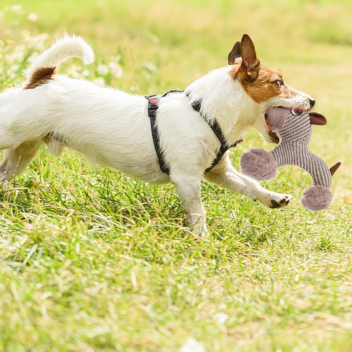 Large Dog Squeaky Toys Stuffed Animal Dog Plush Toy - detail view - PET'S FUN | dog supplies