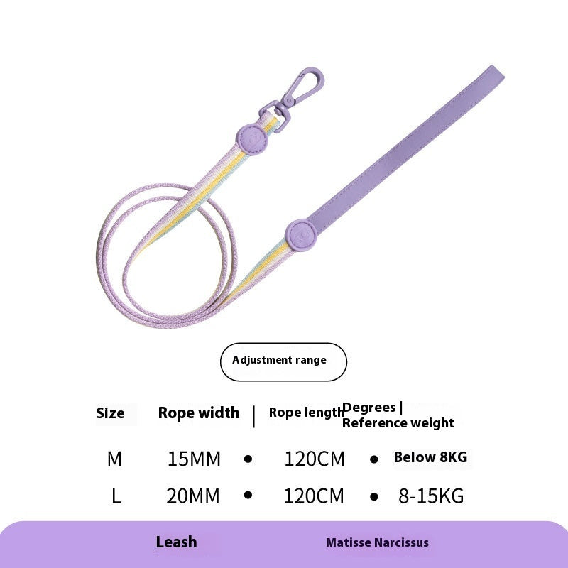 Retro Record Hand Holding Rope Small and Medium-sized Dogs Coll | PET'S FUN