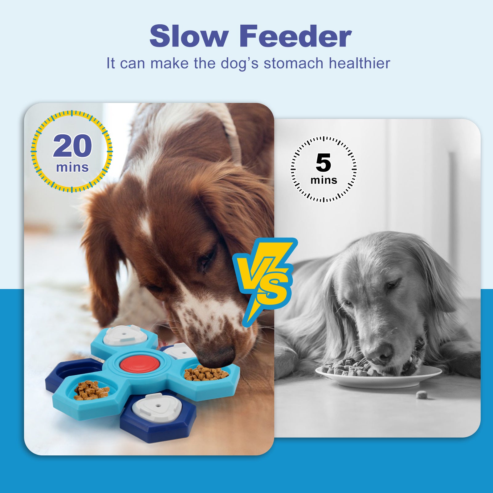 4 Layers Slow Feeder Puzzle Dog Bowls Assemble Slow - detail view - PET'S FUN | dog entertainment