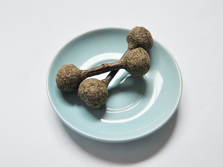 Molar Clean Cat Catnip Stick Toy Silvervine Rod - lifestyle view - PET'S FUN | cat entertainment