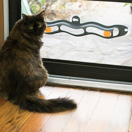 Interactive Track Ball Window Suction Cup Toy Catnip