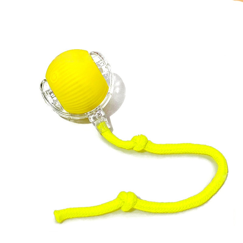 Cat Interactive Ball Toys Automatic Rolling Ball for - angle view - PET'S FUN | cat supplies