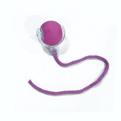 Cat Interactive Ball Toys Automatic Rolling Ball for - detail view - PET'S FUN | cat accessories