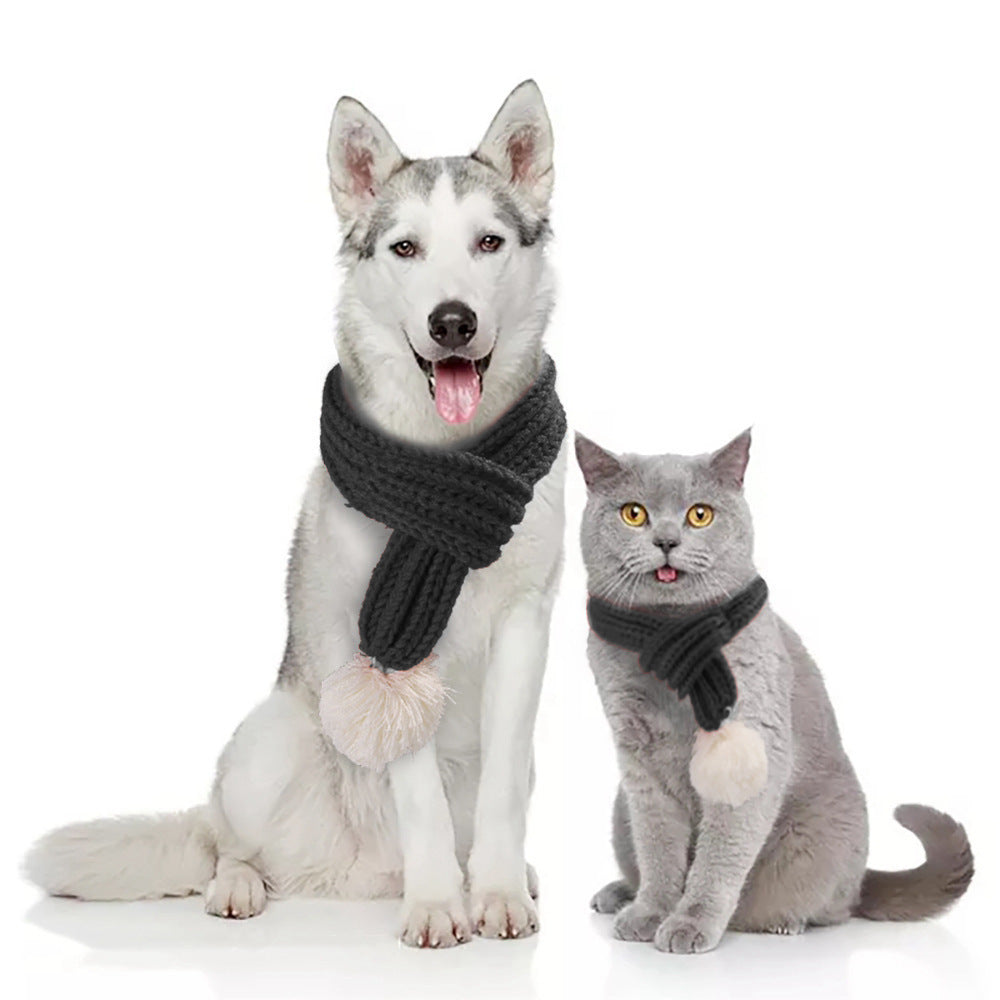 Pet christmas wool scarf - lifestyle view - PET'S FUN | interactive pet toy