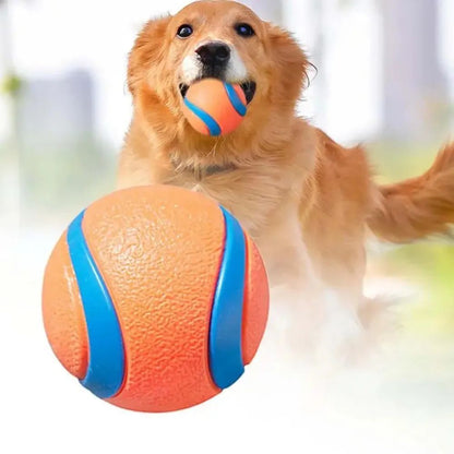 Dog Toy Ball Dog Fetch Ball Toy Tough Pet Ball Puppy - front view - PET'S FUN | dog toy
