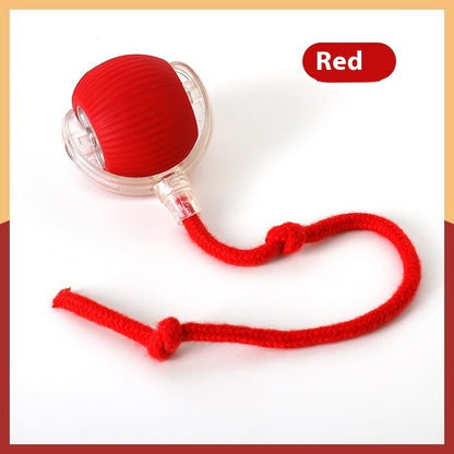 Interactive Cat Toy Ball Super Drive Cat Rolling Ball - detail view - PET'S FUN | cat supplies