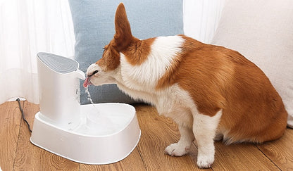 Pet dog water dispenser cat water dispenser - side view - PET'S FUN | pet entertainment