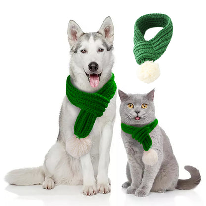 Pet christmas wool scarf - lifestyle view - PET'S FUN | pet accessories