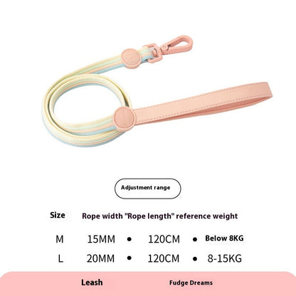 Retro Record Hand Holding Rope Small and - front view - PET'S FUN | dog accessories