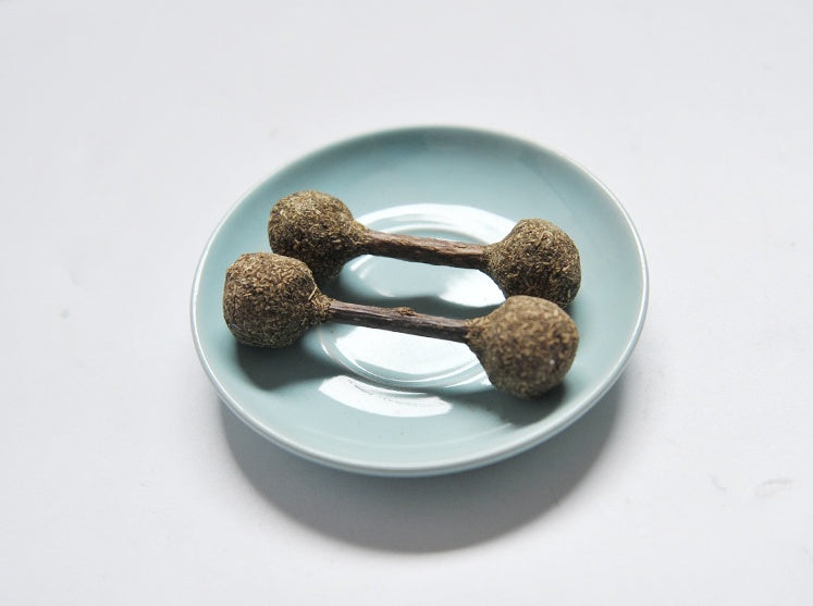Molar Clean Cat Catnip Stick Toy Silvervine Rod - back view - PET'S FUN | cat accessories