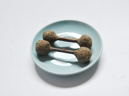 Molar Clean Cat Catnip Stick Toy Silvervine Rod - back view - PET'S FUN | cat accessories