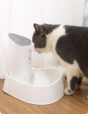 Pet dog water dispenser cat water dispenser - side view - PET'S FUN | cozy pet bed