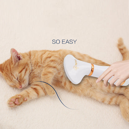 Two-in-one Pet Hot Air Comb Dog Cat Hair