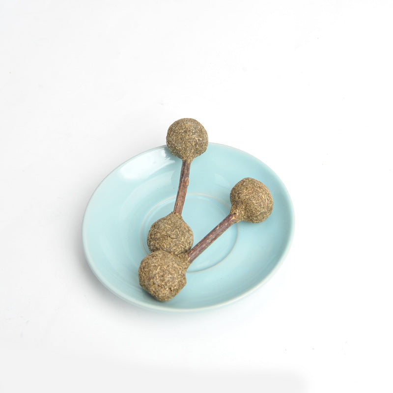 Molar Clean Cat Catnip Stick Toy Silvervine Rod - detail view - PET'S FUN | cat bed