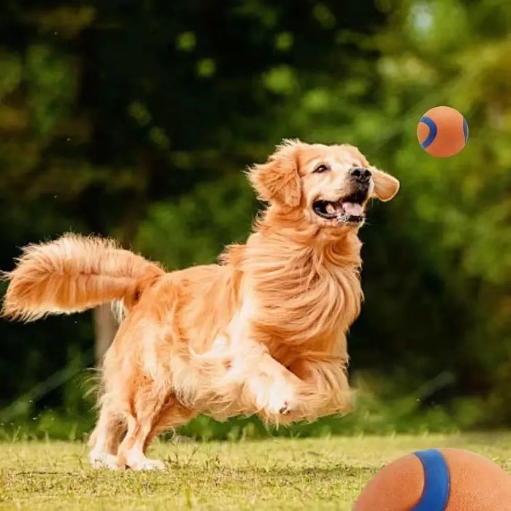 Dog Toy Ball Dog Fetch Ball Toy Tough Pet Ball Puppy - back view - PET'S FUN | dog toy