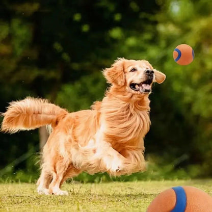 Dog Toy Ball Dog Fetch Ball Toy Tough Pet Ball Puppy - back view - PET'S FUN | dog toy