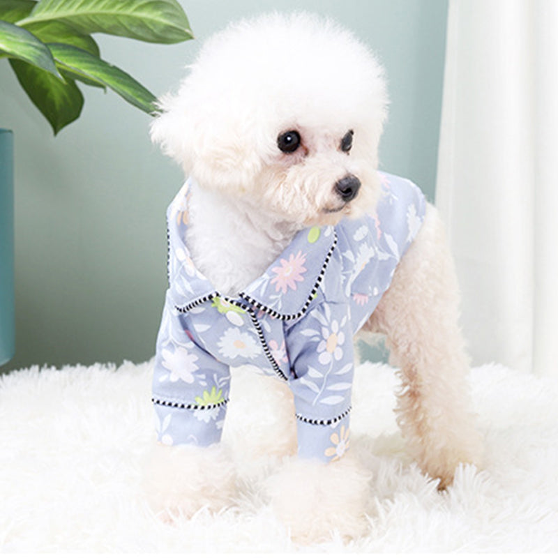 French Small Incense Style Fighting Pet - front view - PET'S FUN | dog play