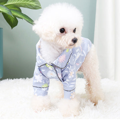 French Small Incense Style Fighting Pet - front view - PET'S FUN | dog play