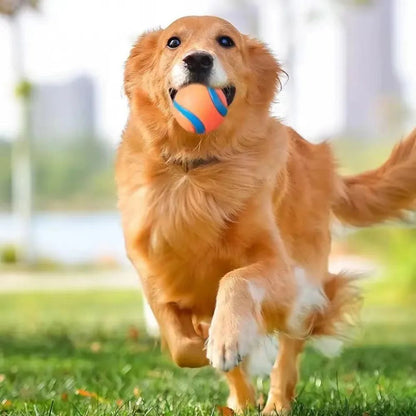 Dog Toy Ball Dog Fetch Ball Toy Tough Pet Ball Puppy - front view - PET'S FUN | dog bed